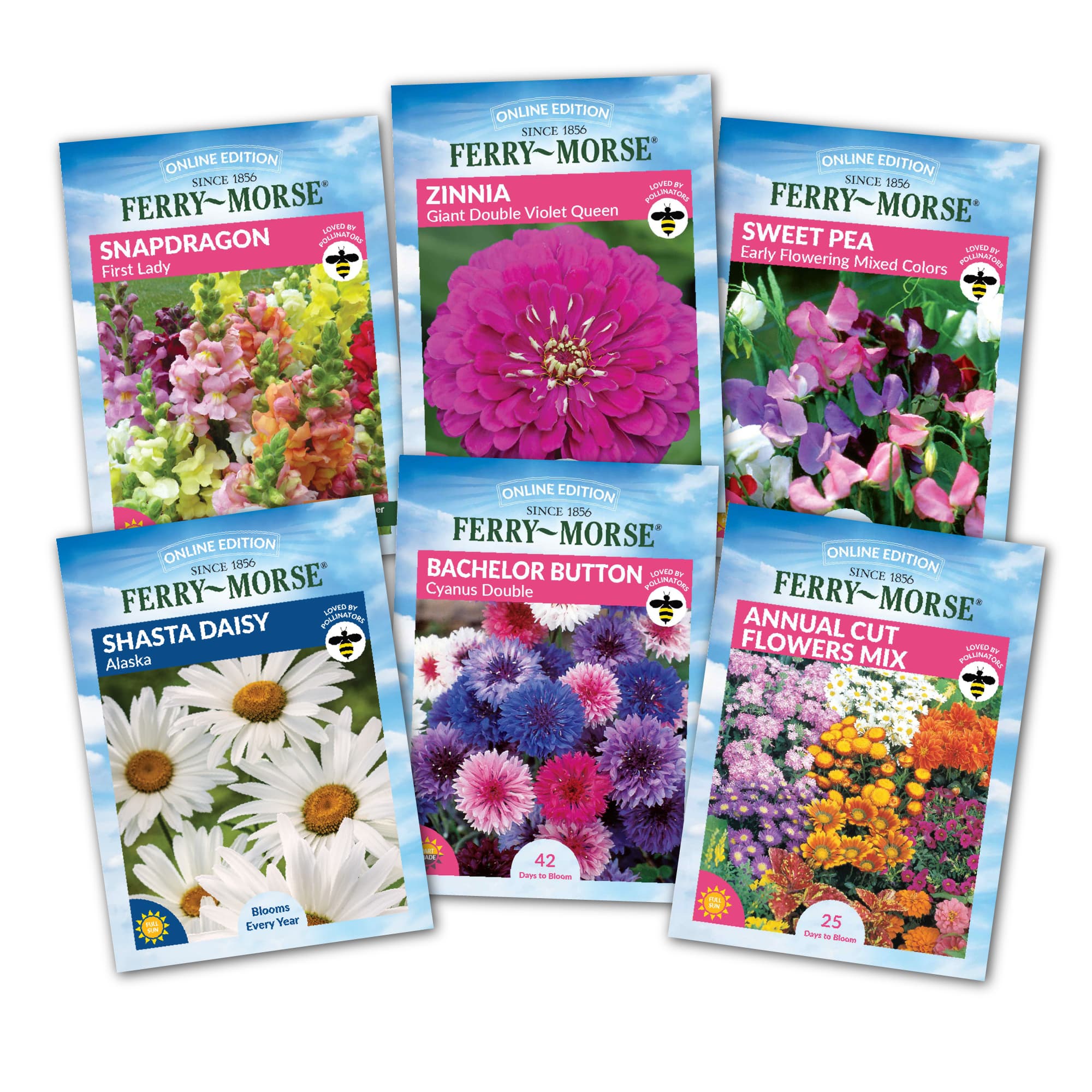 A collection of six flower seed packets from Ferry-Morse, including snapdragon, zinnia, sweet pea, bachelor button, shasta daisy, and an annual cut flower mix.